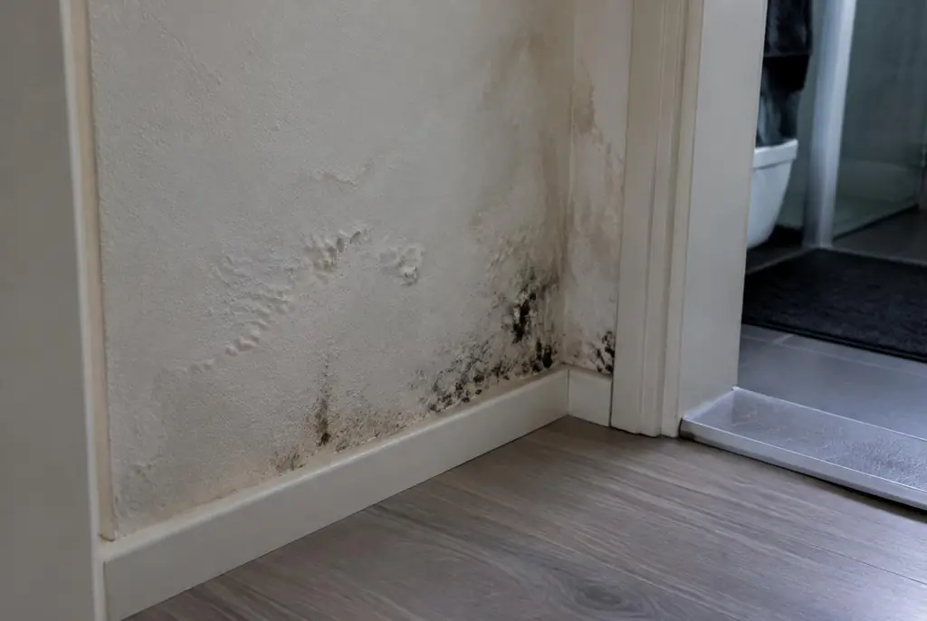 Lekdetectie Enkhuizen – vochtplek met schimmel op een muur